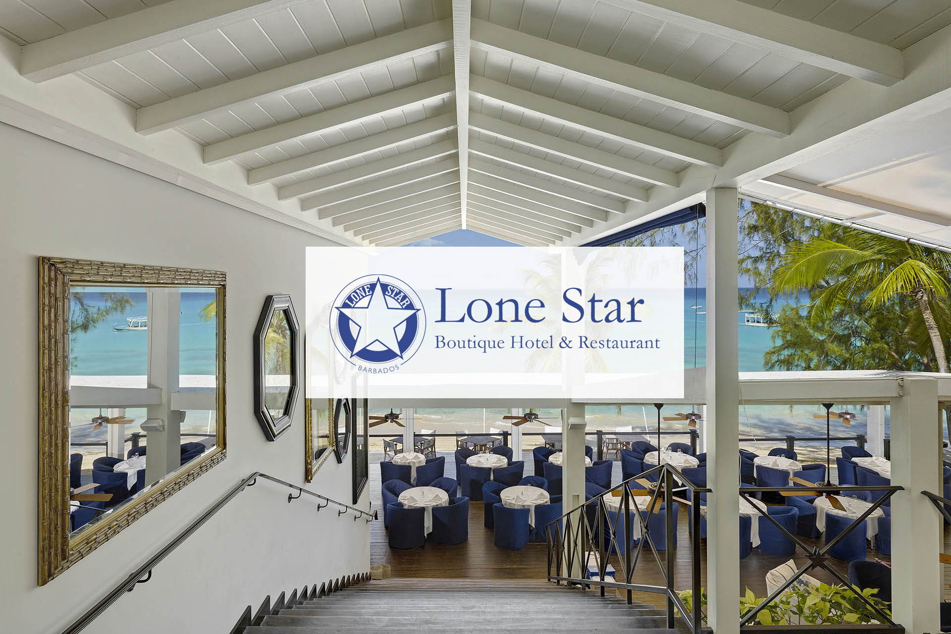 Liz Taylor Consultancy Clients Lone Star Logo light